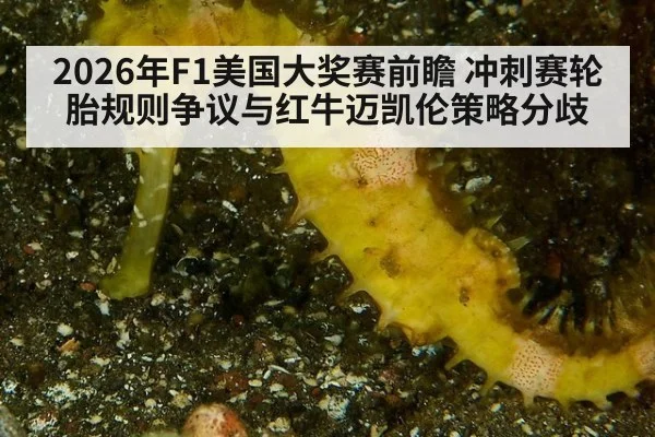 2026年F1美国大奖赛前瞻 冲刺赛轮胎规则争议与红牛迈凯伦策略分歧 - jiuyou